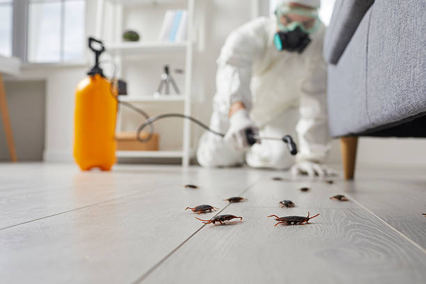 Commercial Kitchen Cockroach Control in Little Chute
